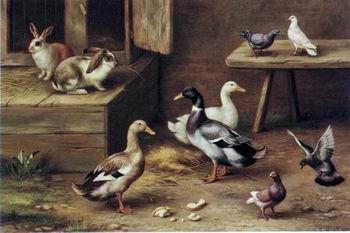 unknow artist poultry  174 oil painting picture